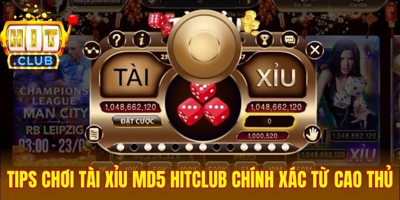 Tips chơi Tài Xỉu MD5 Hitclub chính xác từ cao thủ